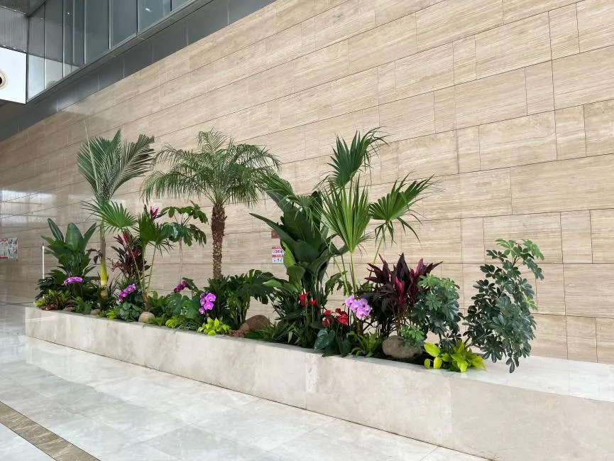 前湾植物租摆哪家强？全方位对比给你答案！